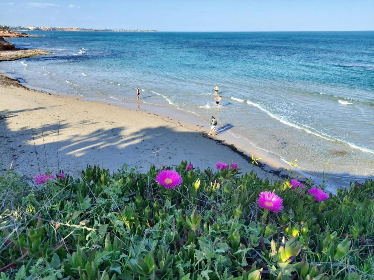 El Apartamento De Papa - Mil Palmeras Dehesa de Campoamor  Eksteriør billede